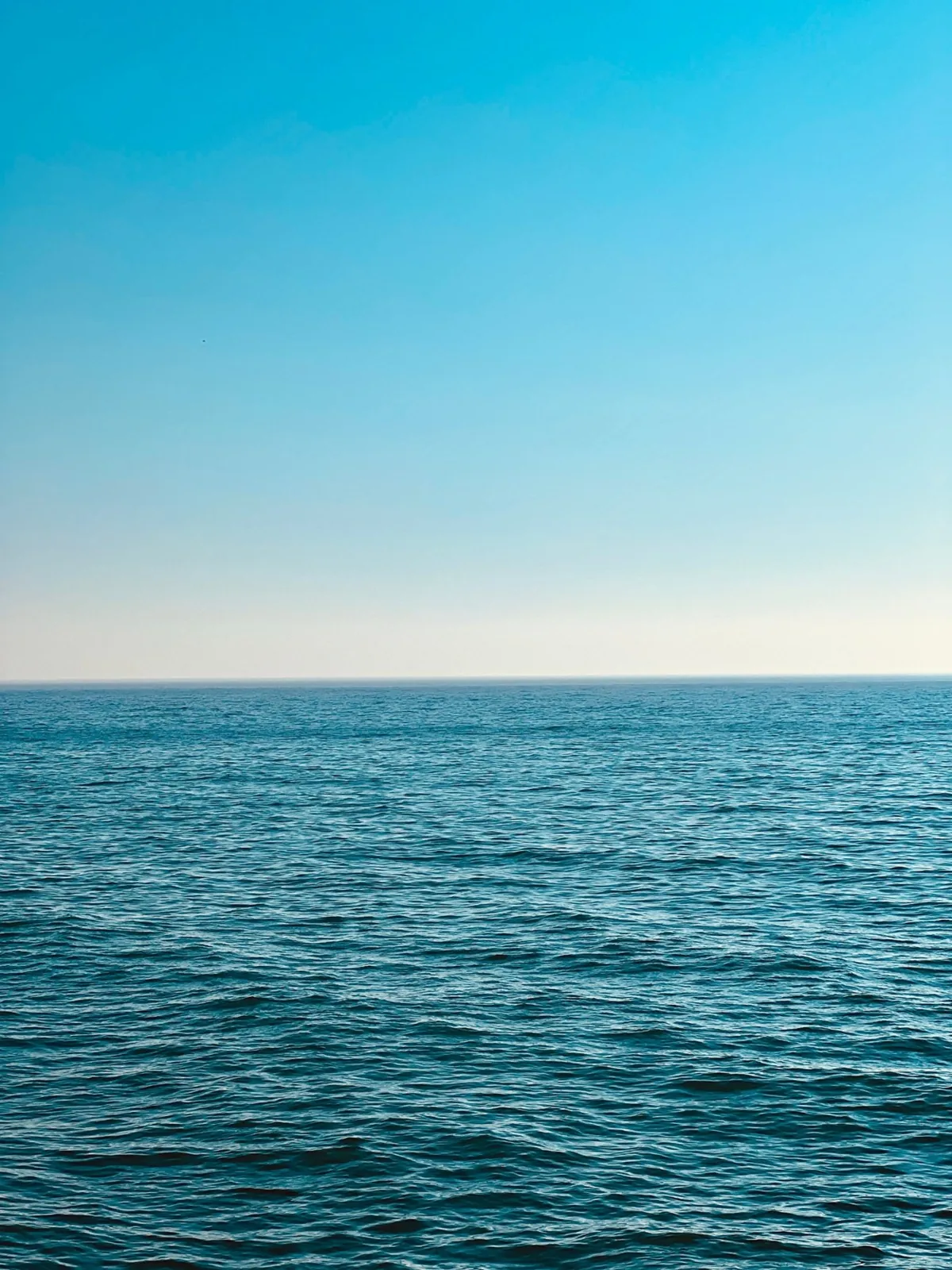 O mar calmo sob um céu azul limpo, com o horizonte no centro